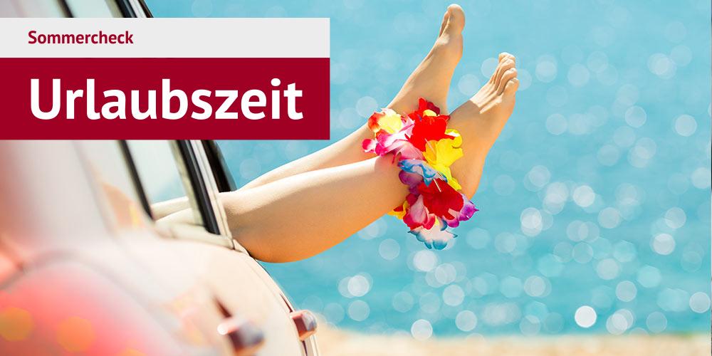 Bild  Sommercheck